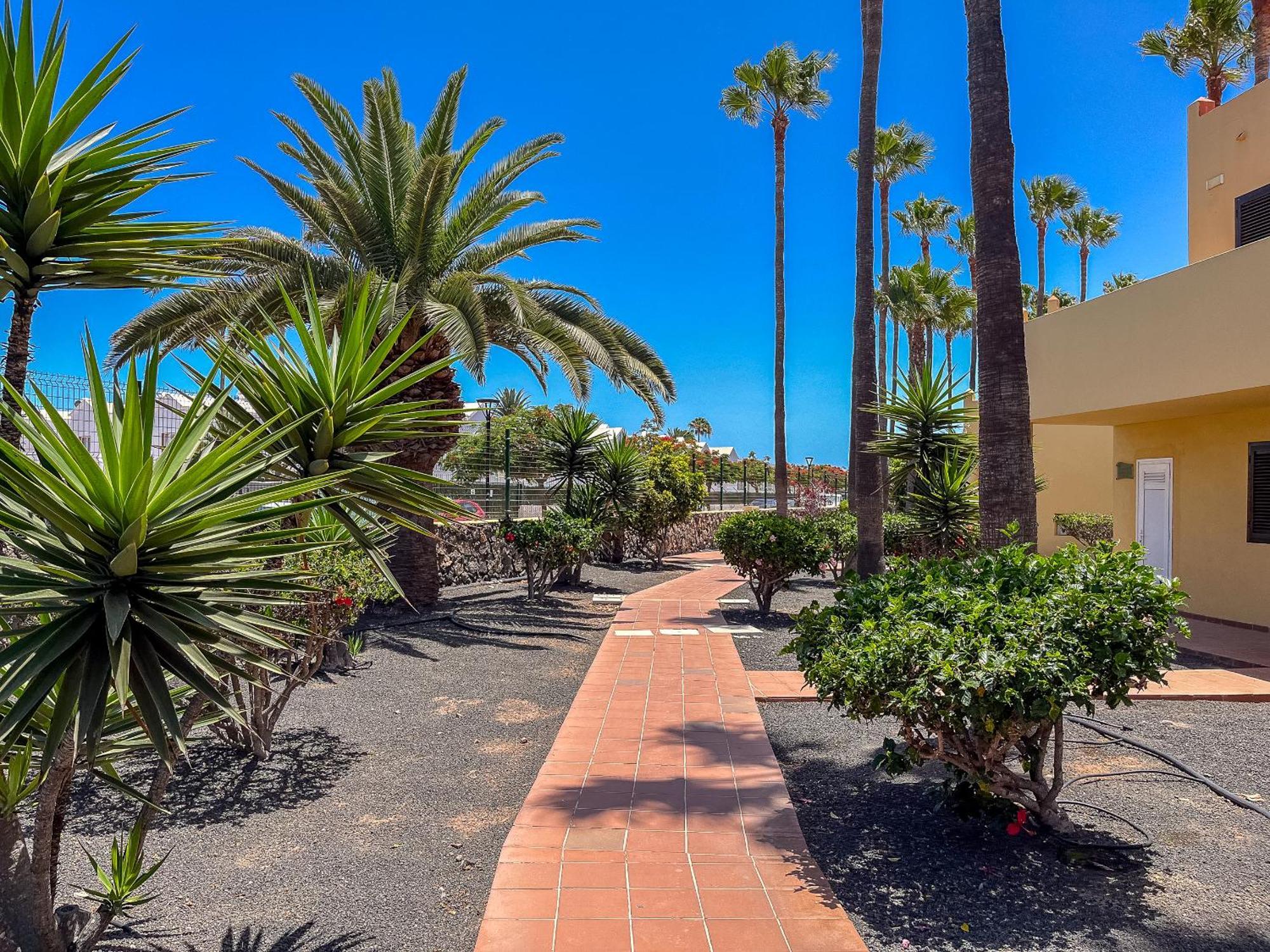 Apartamentos Oasis Royal Corralejo F314 Exteriér fotografie