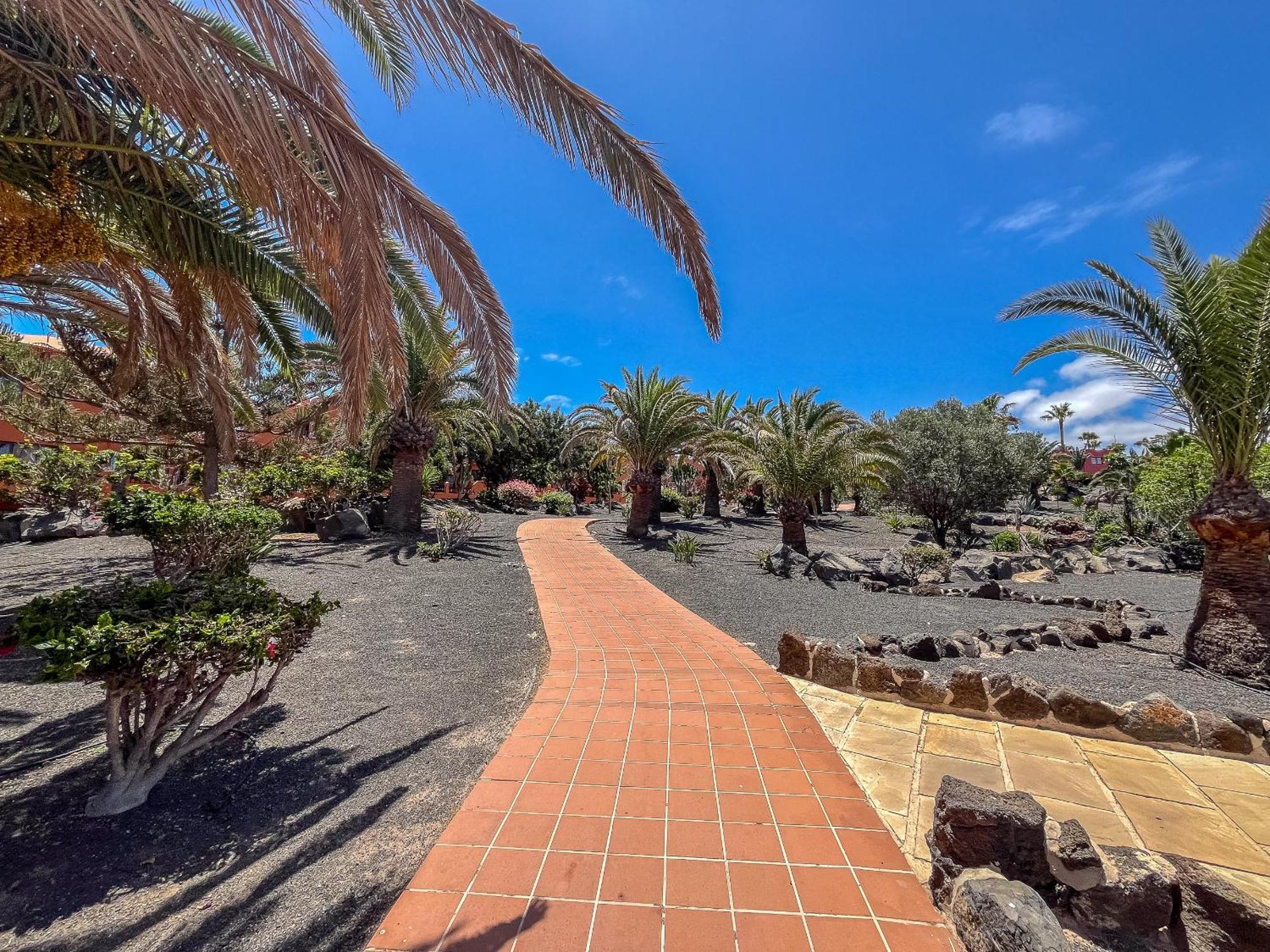 Apartamentos Oasis Royal Corralejo F314 Exteriér fotografie