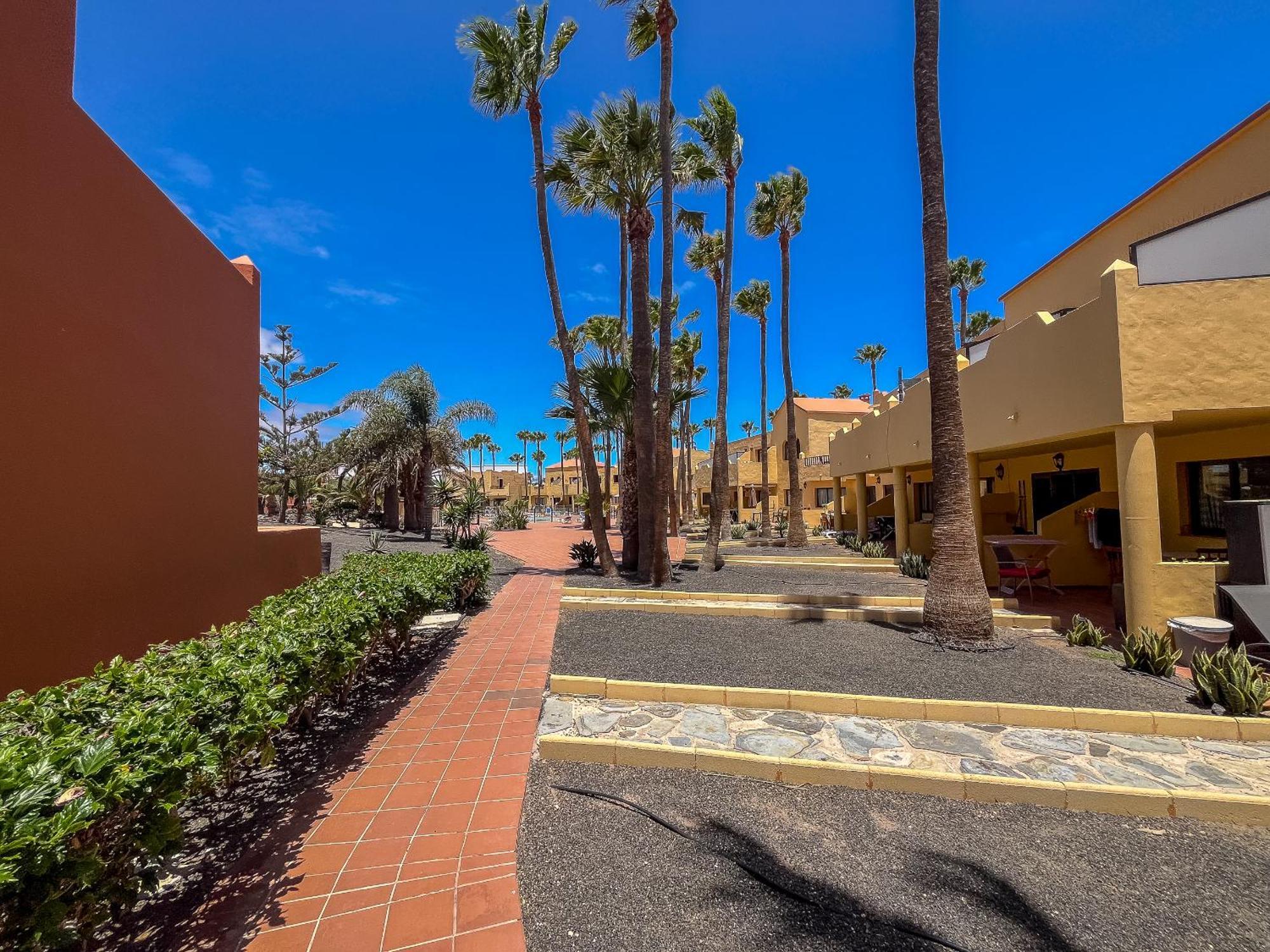 Apartamentos Oasis Royal Corralejo F314 Exteriér fotografie