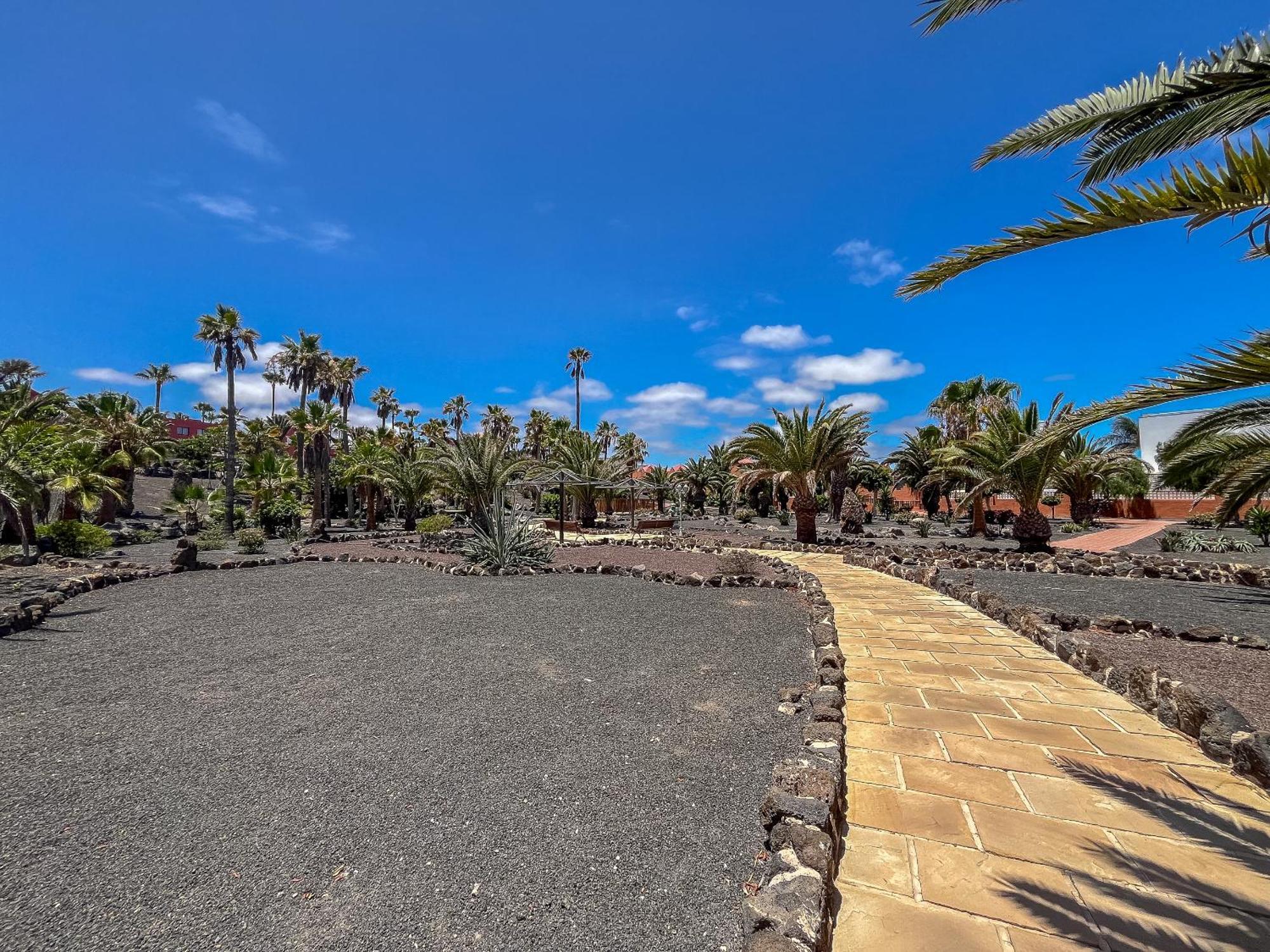 Apartamentos Oasis Royal Corralejo F314 Exteriér fotografie